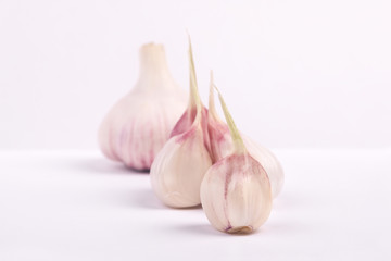 head of young garlic and cloves on a gray background