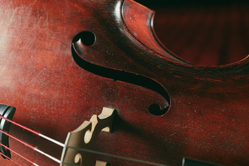 Double bass close-up