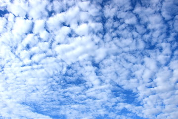 Obraz premium Schäfchenwolken - Weiße Wolken vor blauen Himmel