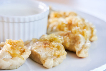 Fried dumplings stuffed with meat carmelized onion on white plate