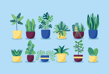 decorative plants flat image design