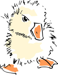Vector illustration of a little duck