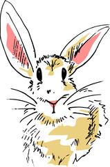 Vector illustration of a cute rabbit