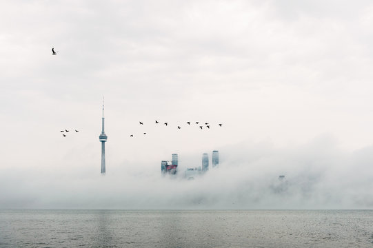 Toronto blanketed by a thick layer of Lake Ontario fog - Powered by Adobe