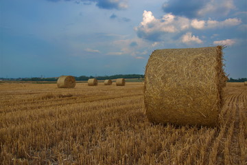 bales of hay
