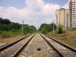 railway in the wood