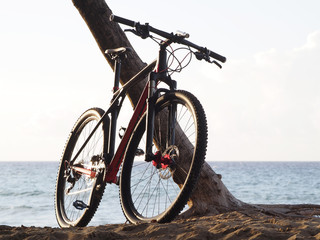 Fototapeta premium Bicycle on the shores of the Atlantic Ocean.