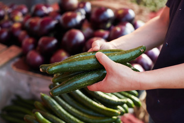 Close-up of cucumber, scene of buying cucumber