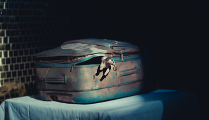 persona che esce da valigia 