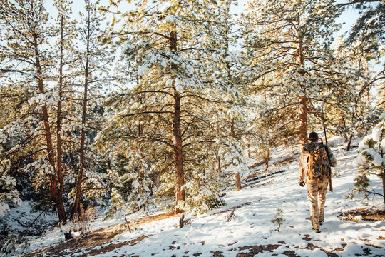 Early Morning Hunting