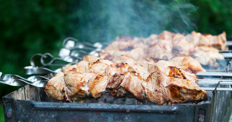 Street food, grilled meat on a spit. Homemade. Close up