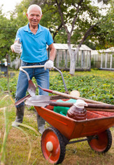 Elderly gray-haired man working in the garden