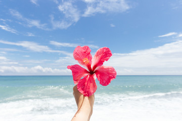 Hand holding hibiscus flower against beach view. Taiwan