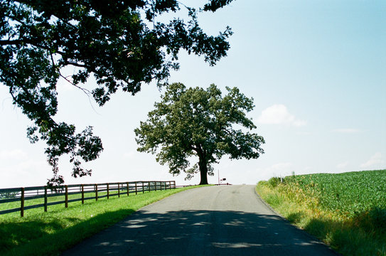The Road less Traveled