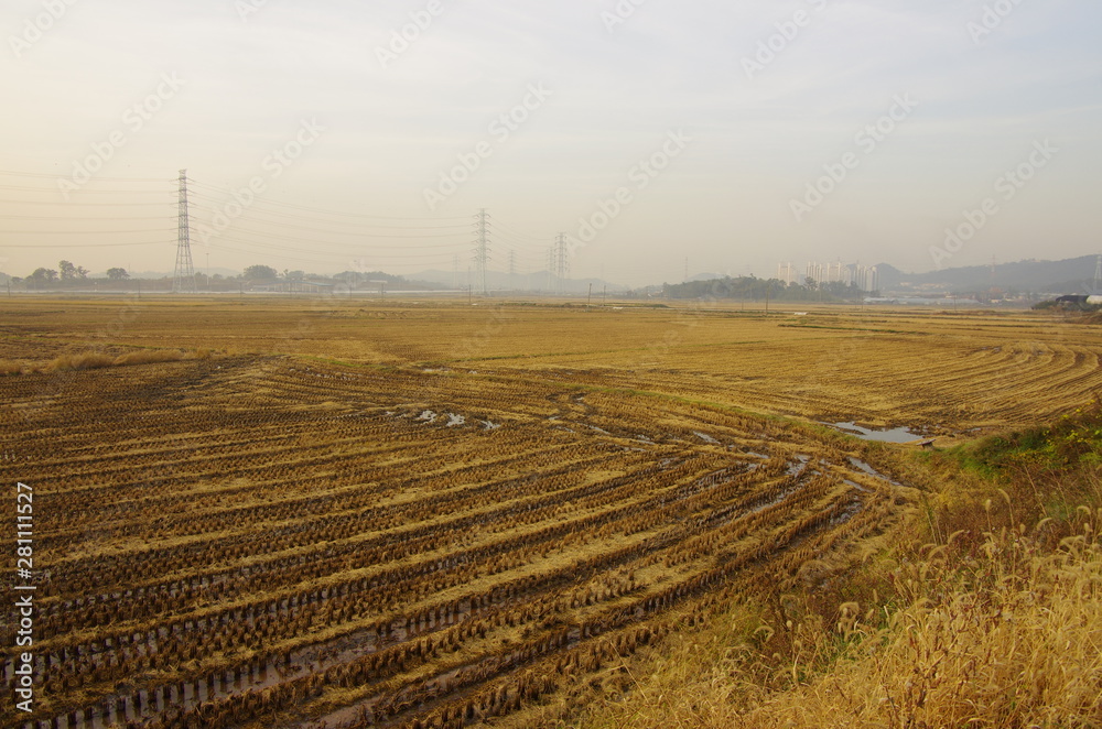 Wall mural harvested field in autumn