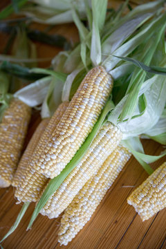 Fresh, organic corn