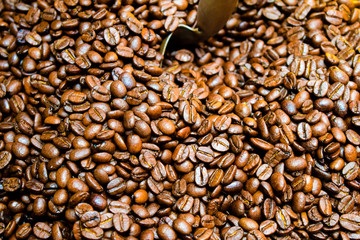Roasted coffee beans