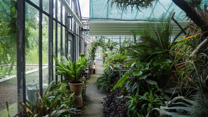 Greenhouse