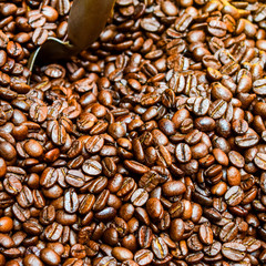 Roasted coffee beans