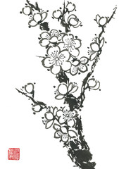 A branch of a blossoming sakura. Contour   flowers of plum mei and  wild cherry .  Oriental traditional illustration of tree in style sumi-e, go-hua,  u-sin. Stylized print with hieroglyphs..