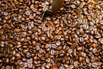 Roasted coffee beans