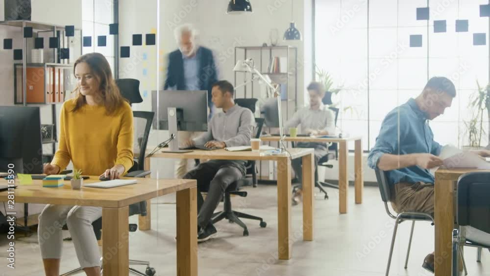 Poster time-lapse shot: group of professional employees working on desktop computers, walking through the b