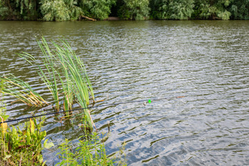 Fishing rod with a bell in the water, fishing in summer
