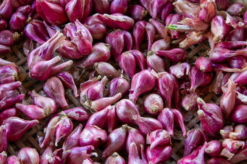 Purple  onions and red onions texture background