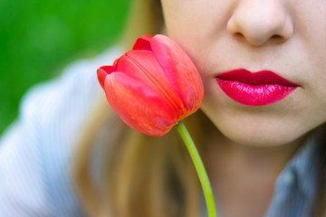 Young pretty caucasian woman's lips with red lipstick and red tulip close up view, dating, wedding day