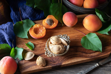Apricot kernels and fresh apricots, dark food photography