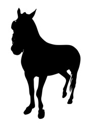 Horse standing silhouette
