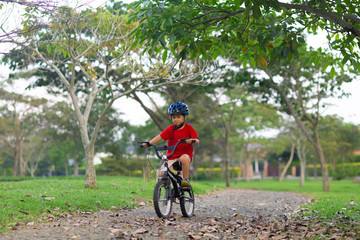 Cheerful Little Boy Riding a Bike