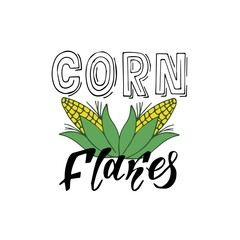 Very high quality original trendy vector lettering illustration of sweet  corn. Bunch of Corn. summer farm design elements. Hand drawn.