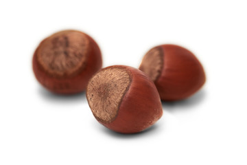 Hazelnuts and brown hazel leaves on white background, isolated, closeup