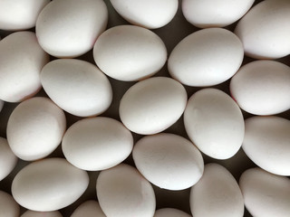 White chicken eggs on white isolated background