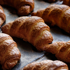close up of freshly baked crusty croissant on buffet line background. A tray with fresh croissant bread puff pastry at a local bakery