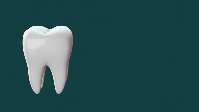 white tooth spinning with copy space, seamless loop, luma matte for background replacement ( 3d render)