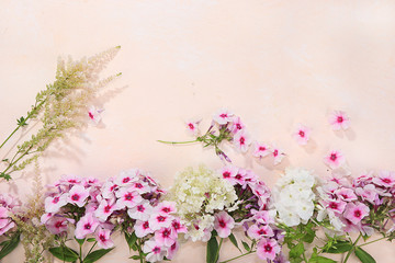 Colorful flowers of pink phlox on a wooden table, top view with a place for text, flat planning, selective focus. Pink flowers on wooden background