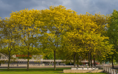 Paris, France - 05 06 2019: Trees in La Vilette Park