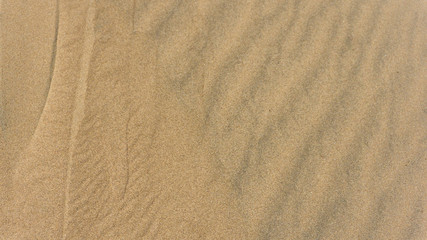 Fototapeta na wymiar Texturas en la arena del desierto de Ica Peru