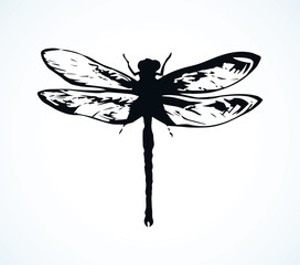 Dragonfly. Vector drawing © Marina