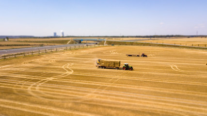 Obraz premium Ernte im Sommer