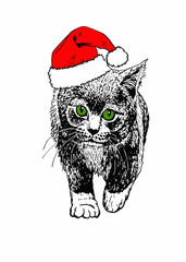Graphical cat in Santa Claus hat isolated on white background,vector new year illustration