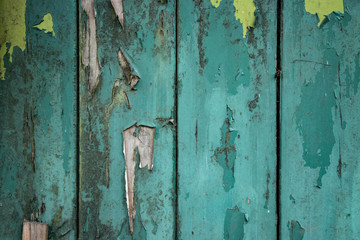 Green blue worn vintage wood panel paint background texture