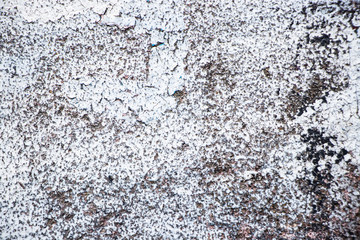 White wall grunge worn vintage rough old background texture