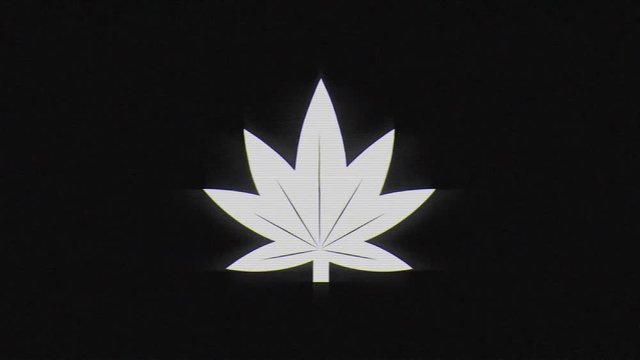 Marijuana leaf icon or cannabis human bad habit in glitch effect on dark background
