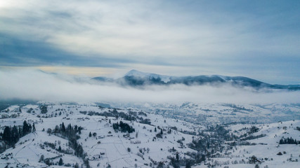 Obraz premium Aerial view of pine forest, from above. bird's eye, drone shot. amazing natural winter background