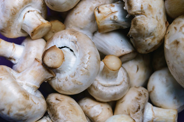 champignons can be used in a wide variety of dishes
