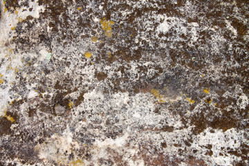 Stone surface with lichen. Natural texture