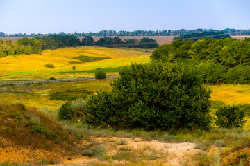 Fototapeta na wymiar Scenic beautiful typical lush green landscape with fields